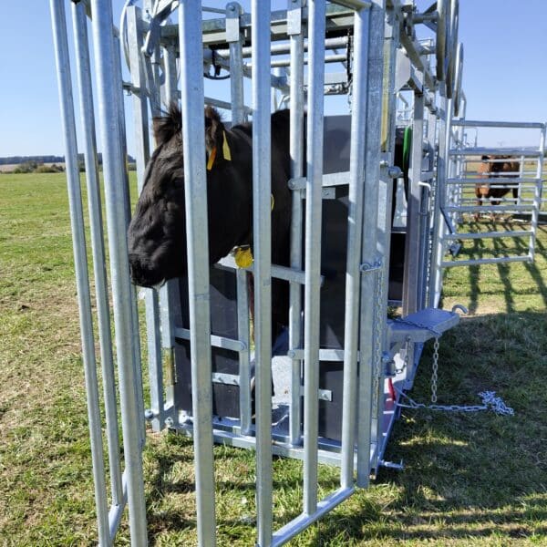 Koš k fixačnímu čelu a kleci